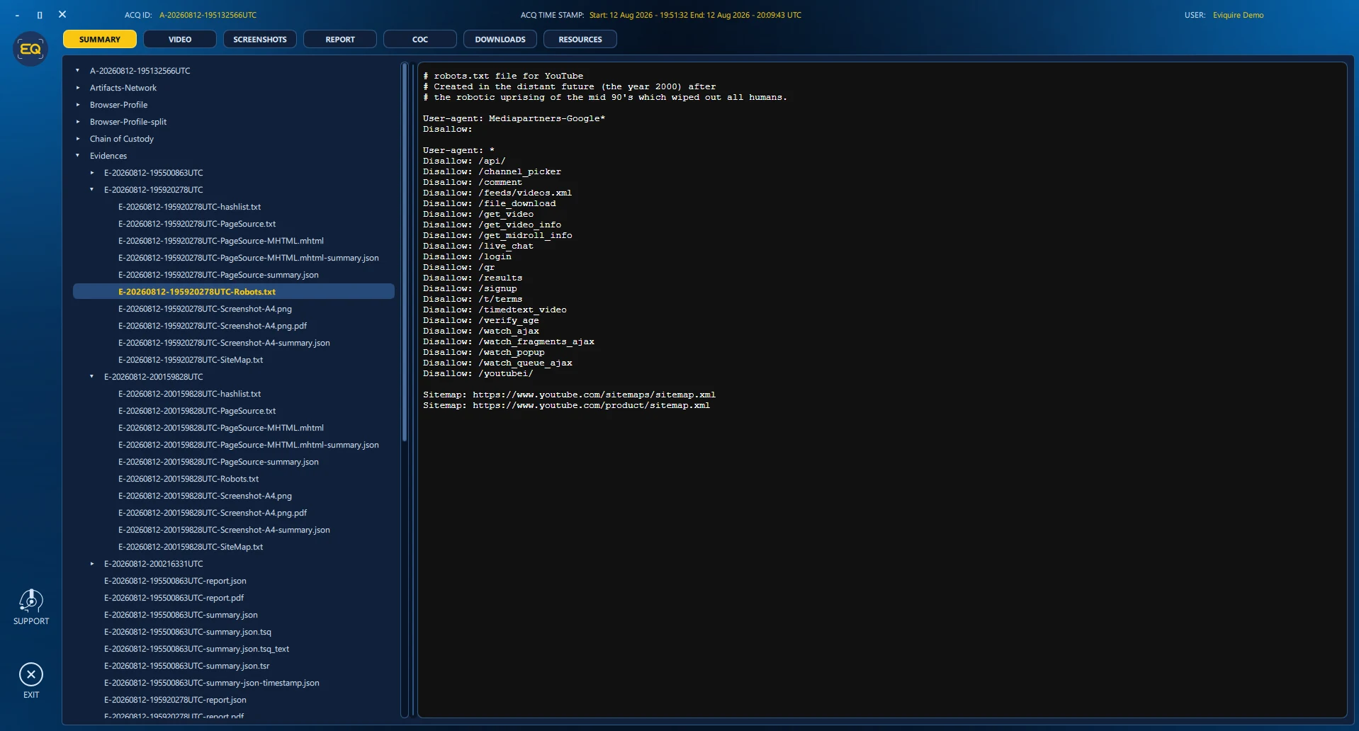 Demonstration view of a robots.txt artifact.